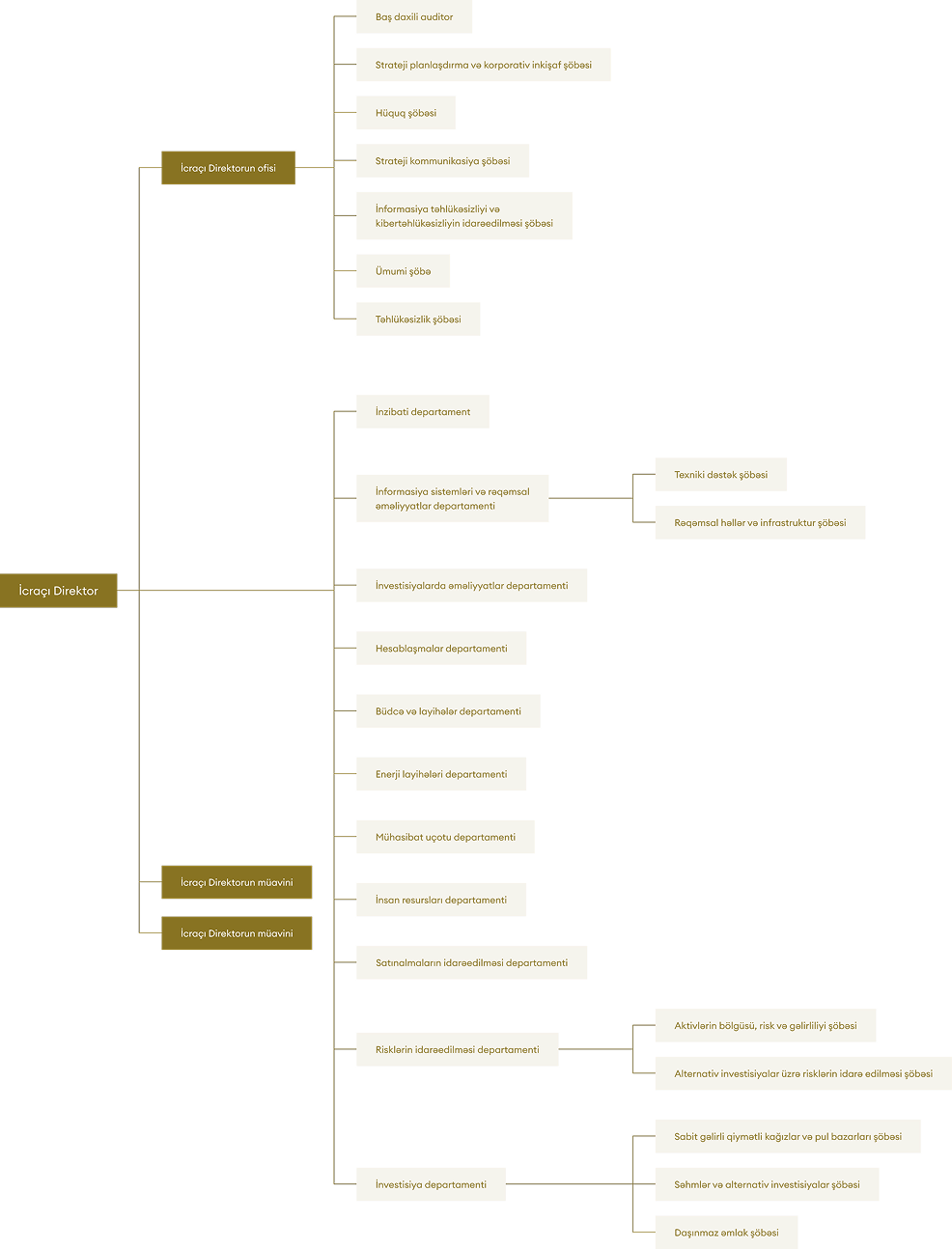 Təşkilati struktur